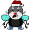 enzy84