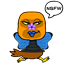 shaun40555