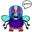 sgalbo