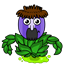 toptoad