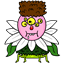 cclizacf