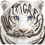whttigress