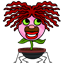 mrkinnea