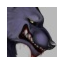 luminescentwolf