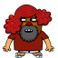 pintobean11