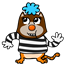 new2it2