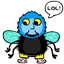 shelly128