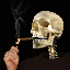 revolutiongfx