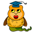 fasy