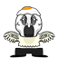 johnrph