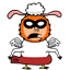 sallymir