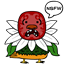 makabe