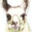 llamatronics
