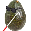blindavocado