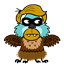 bluejay13