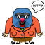 baldbear
