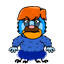 bboog