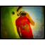 probaholic1