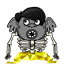 ricain