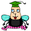 photosteve