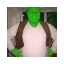 paddrig