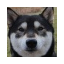 sayashiba