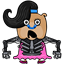 bishsd