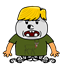 pillshep
