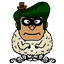avi8or75