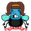 gregpicadash
