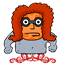 ropper1