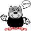 kwokn6