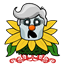 eddygaluszka