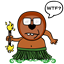 sfidance