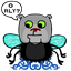 dykim00