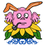 dcbrasek