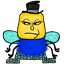 hoyanim7