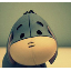 stormywoot