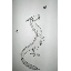 siphroseflame