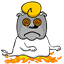 dalematthew