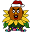marciraeb