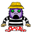 snasim