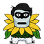 fiascokid