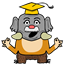 stephenosp