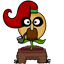 shortnsuite3