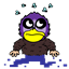 imagoob