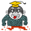 BanjoBear