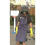 robohobo