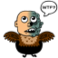 scubadvr2