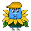 bsharp